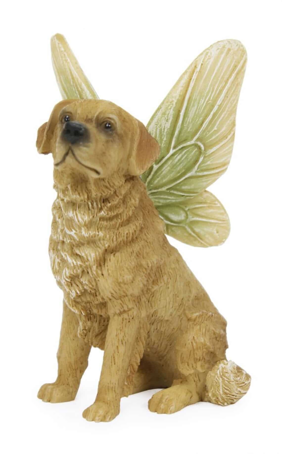Dog with wings