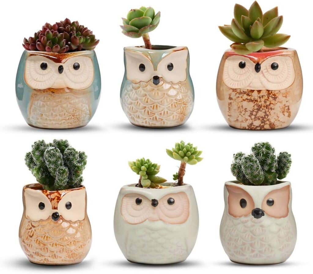 t4u 2.5 inch owl ceramic succulent