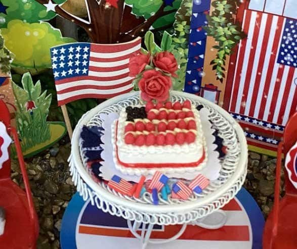 fourth of july strawberry~bannana~blueberry usa flag cake