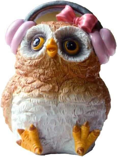 magical music from tommy’s owl pals