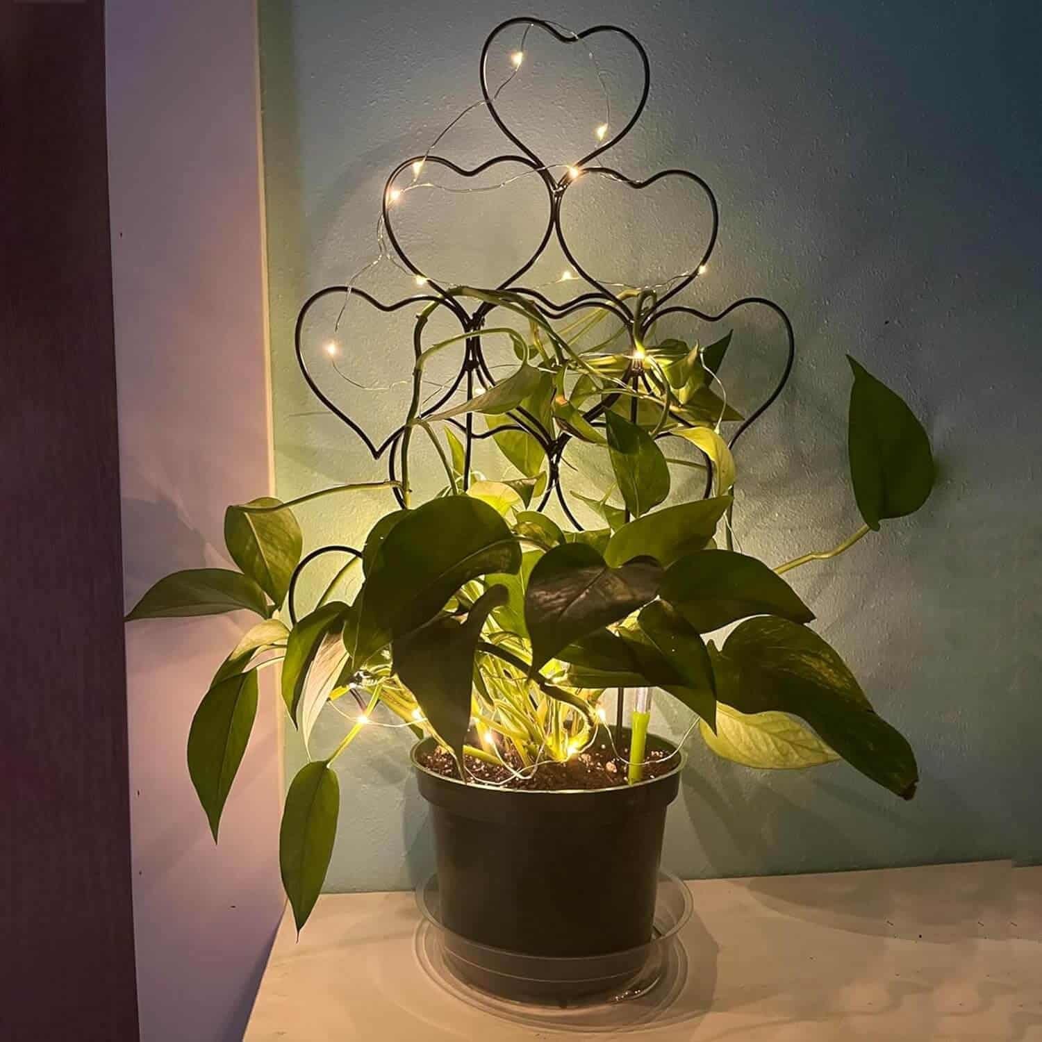 Beautiful Heart Trellis