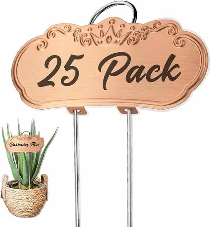 Fabulous Metal Plant Stakes