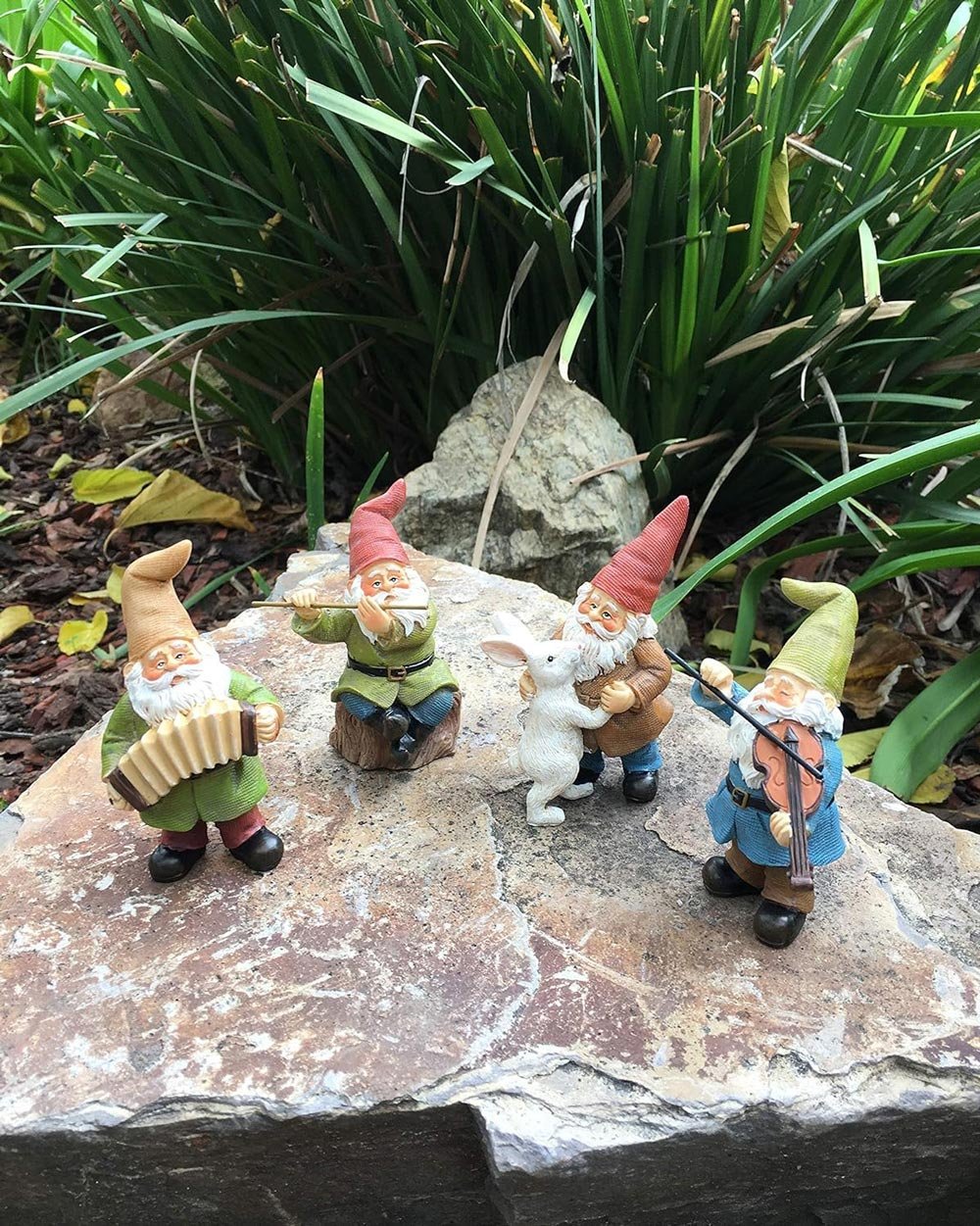 festive gnome band