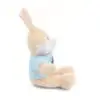3566592691944451377_2048.jpeg