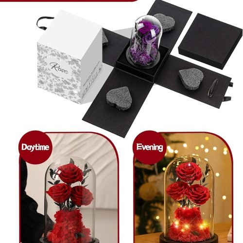 Beautiful-Roses-in-a-Glass-Dome2