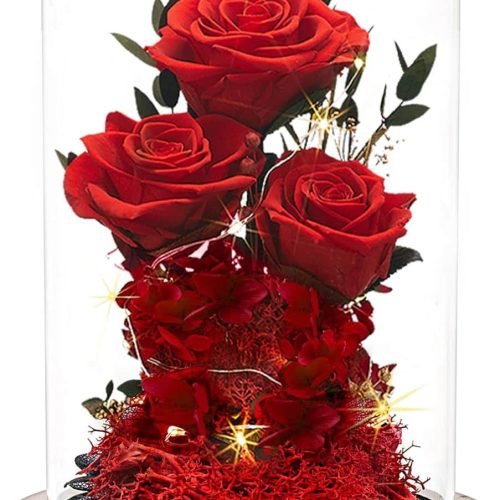 Beautiful-Roses-in-a-Glass-Dome4